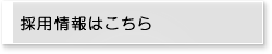 採用情報はこちら